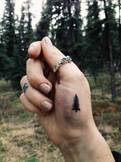 theengima-slc:  Fresh and swollen. New pine tree tattoo I gave myself. 