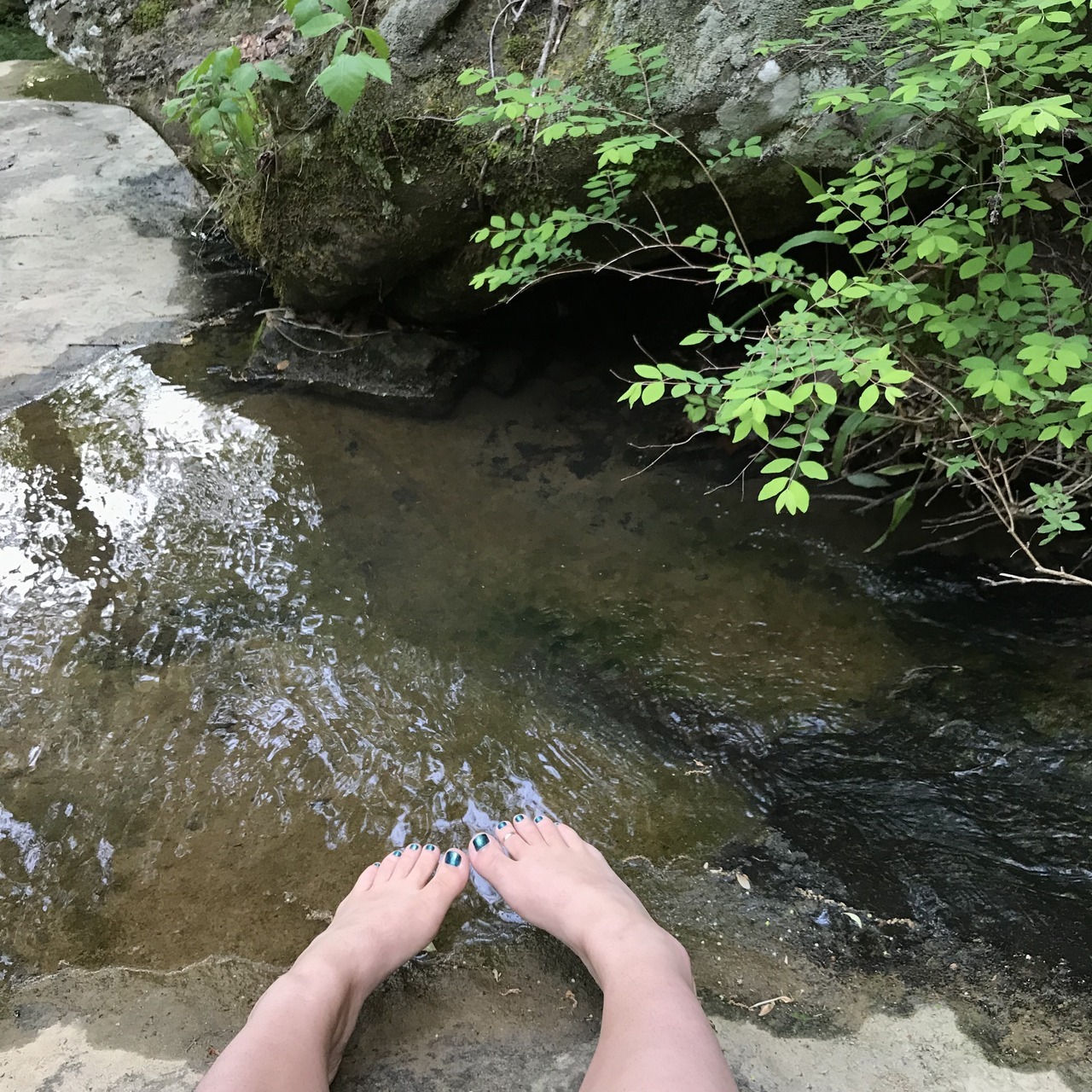 padmaporn:  Come find me in the forest…