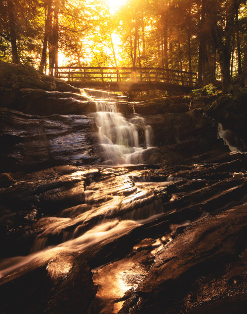 seebest: Potts Falls - Bracebridge, Ontario