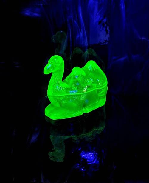  Camel Uranium Glass //  GlowNShowAntiques 