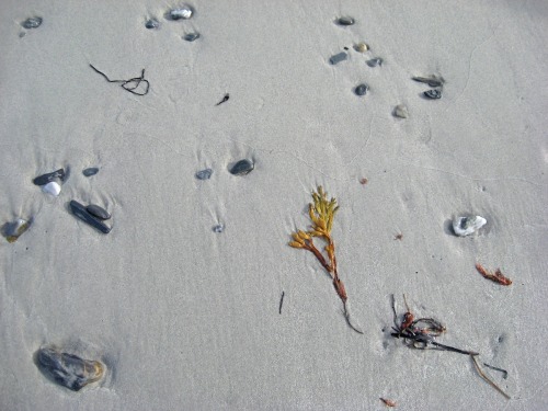 Pictures from around Portland, Maine: Back Cove and Crescent Beach.