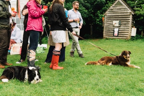 Dogs at a WeddingWedding of Mitchell &amp; Millie, my brother and now sister in law. July 2016Weddin