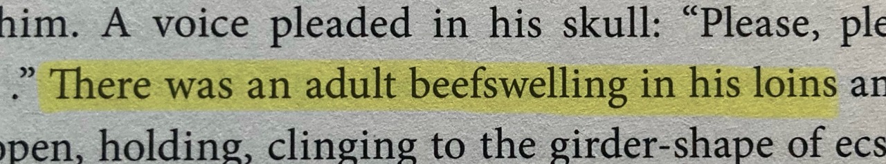 highlighted text from a novel that says "there was an adult beefswelling in his loins"