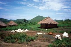 The 1986 Lake Nyos explosion In north-west