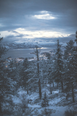 Man-And-Camera:  Dark Winter ➾ Luke Gram           