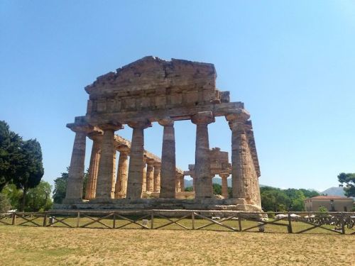 ancientgreecebuildings: PaestumTemple of Athena, built around 500 BCEPaestum, July 26, 2019