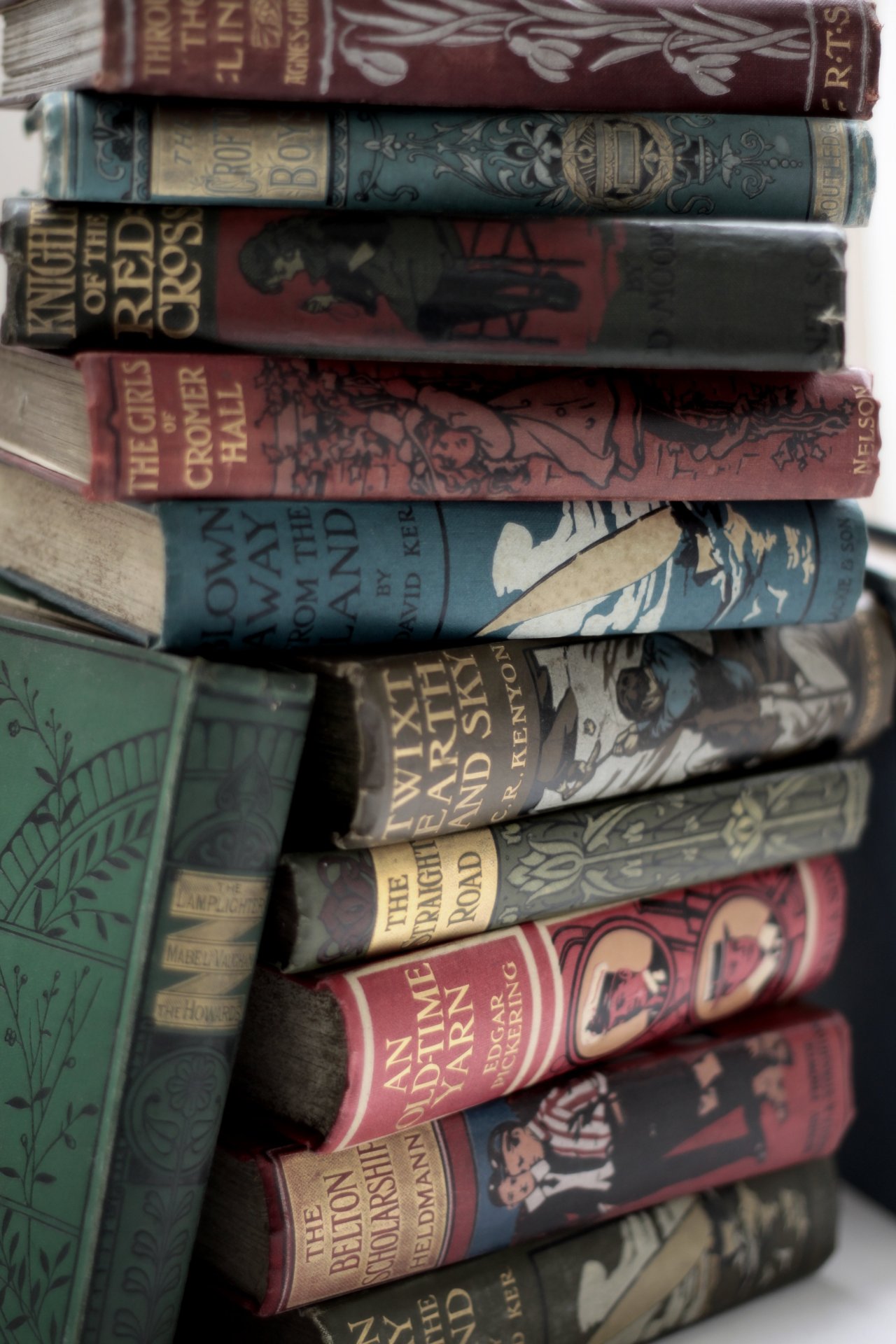 michaelmoonsbookshop: old books  late 19th early 20th century publisher’s pictorial