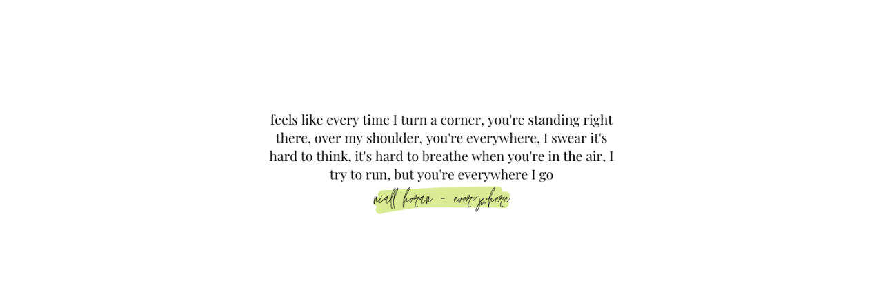 Niall Horan - Everywhere (Lyrics) 