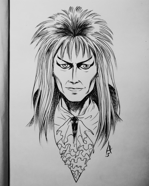 All of my David Bowie drawings, from 2012 to the present