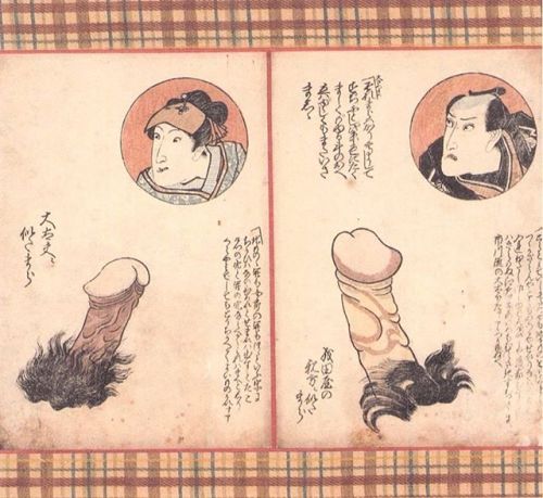 Daily SHUNGA