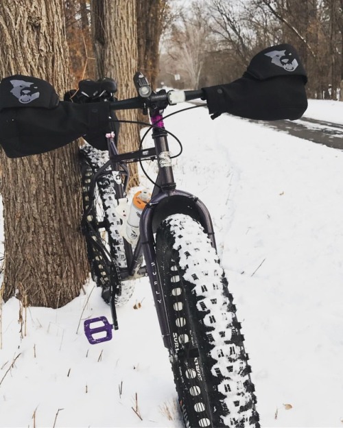 ridewithfroth: What a beautiful morning! Perfect riding conditions. #fatbike #fatbikes #commute #dai