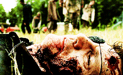 nosafezone-blog:  the walking dead + the fallen of season 4 (02/??)   