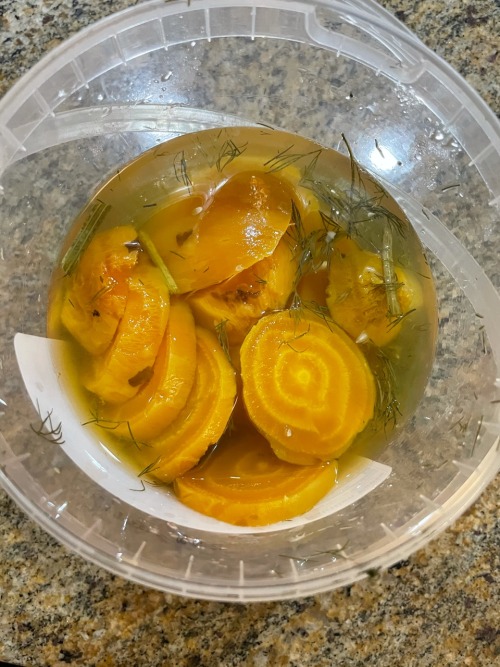 Roasted sliced golden beets in the pickle juice #leftovers