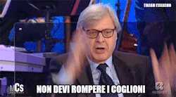 Conilcuoreintempesta