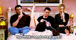 iamnevertheone:  favourite friends episodes• the one with the morning after 