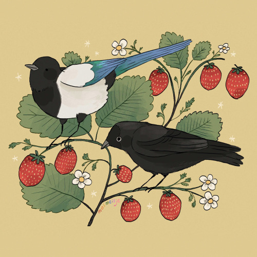 mosmeisje: two of my favourite birds and some strawberries 