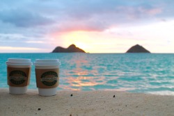 rachaeldee:  mokulua sunrise