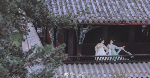 ziseviolet: yansanniang: @小艾野 [行香子]—— 柳下笙歌庭院，花间姊妹秋千。 Traditional Chinese Hanfu.