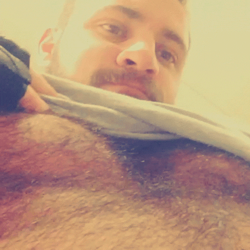 ilovebearsposts:  http://ilovebearsposts.tumblr.com/archive