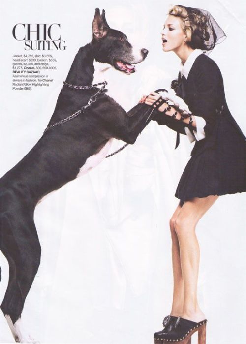 Sex chic suiting-harper’s bazaar www.gracestewartxo.tumblr.com pictures