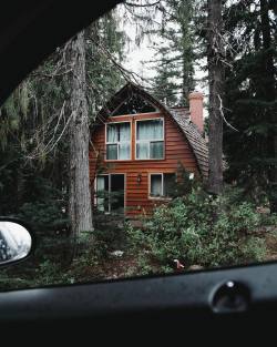 Wild-Cabins:alex Nunley