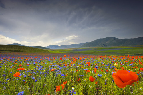 Temporale by Massimo Feliziani on Flickr.