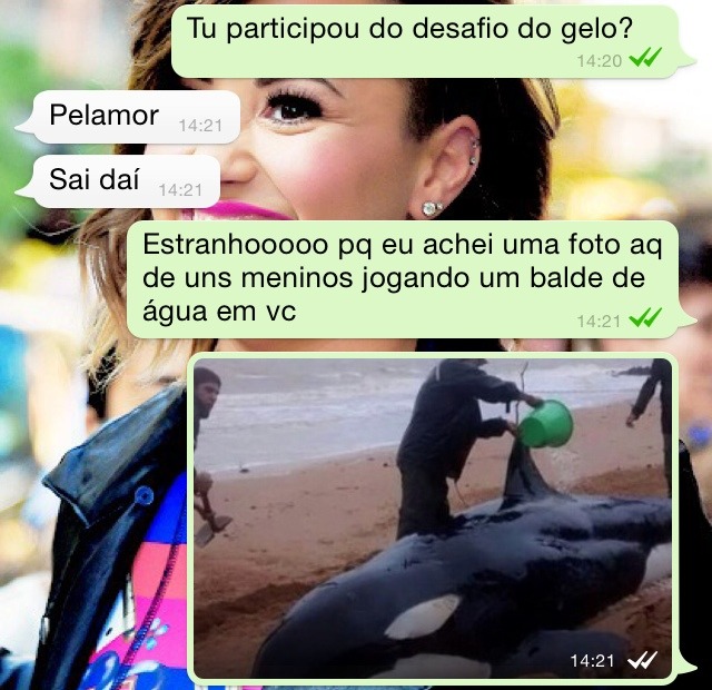 Reblogando sem parar