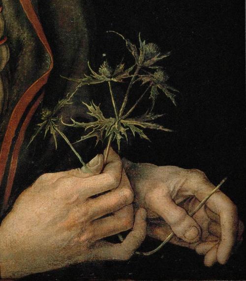 rubenista: Albrecht Dürer, Portrait of the Artist Holding a Thistle (detail), 1493. Oil on vellum tr