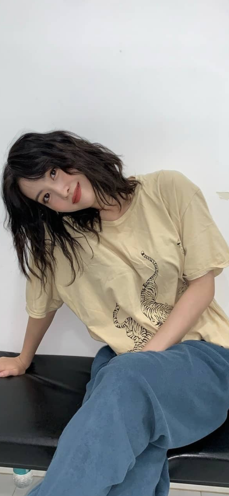 Momo - Gf Material (without Filter)