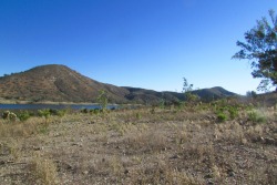 letsbeforestfriends:  lake hodges, california, taken in march 2016 by letsbeforestfriends