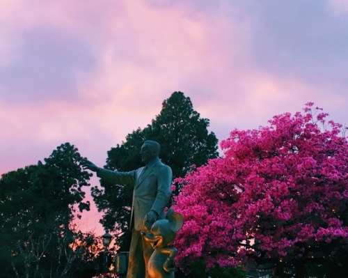 zoerosie:Magic Hour at Disneyland | Spring 2017