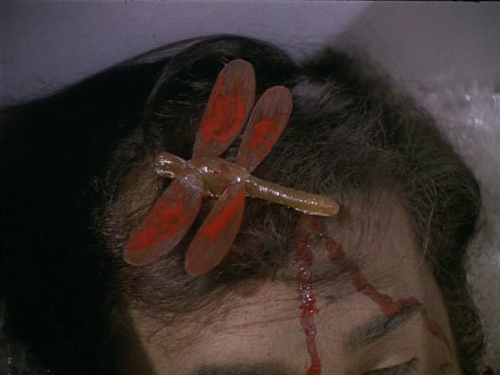 zulawskis: a dragonfly for each corpse (1975) directed by león klimovsky
