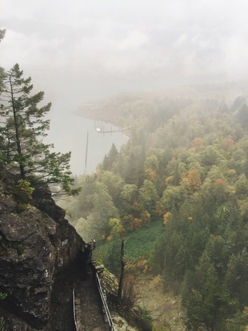 Exploring the Gorge in the rain and fog.