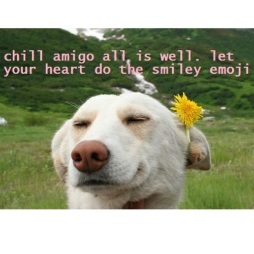 karakarma:  🌼💚😊