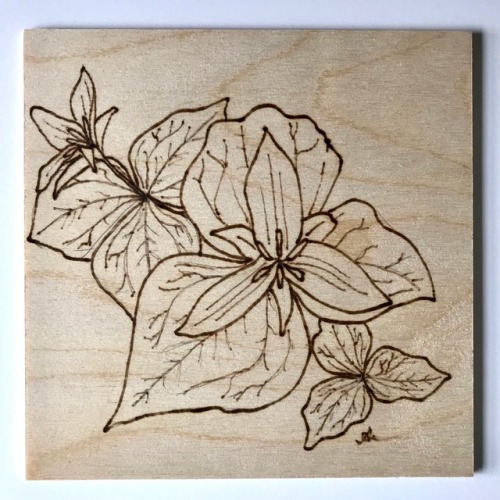 Trillium
5 x 5 inch. 2018. Burning on Wood Panel