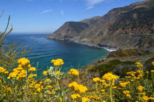 The first two days at Big Sur have been amazing. The morning fog washed away by the afternoon and Je