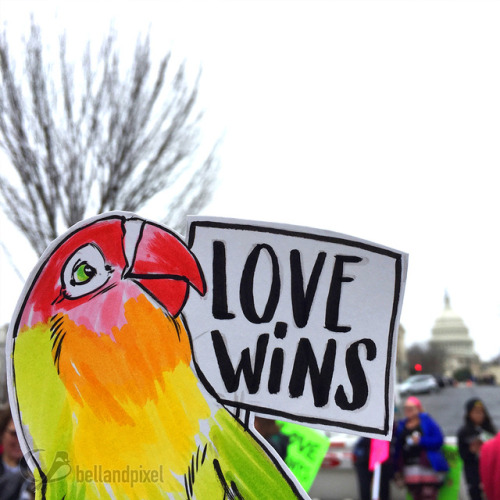 My miniature birb marchers from the Women’s March on Washington DC. Bird made with bristol board, in