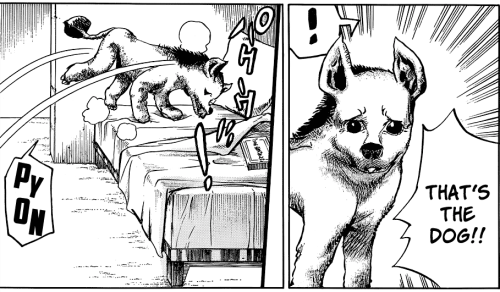 hellowitchy:I deeply appreciate how Araki has been drawing JoJo for like 30 years and he’s got