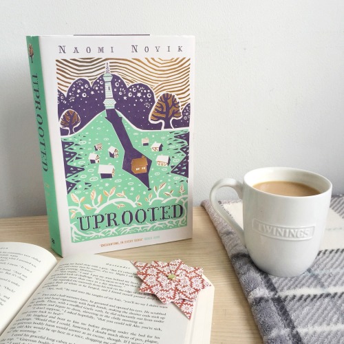 weereader:Uprooted is one of the most beautiful books I have ever read!
