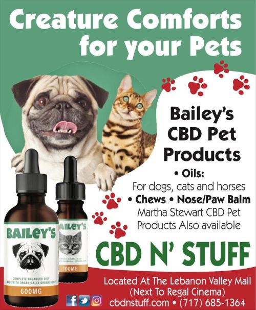 See all our pet products in store. All pet products online are available for shipping. #cbdforpets #