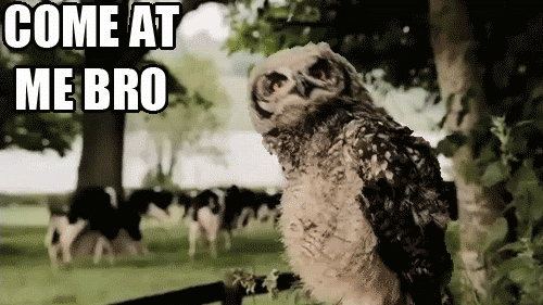 driftini:  homosindisguise:  hopperlicious:  homosindisguise:  hopperlicious:  homosindisguise: