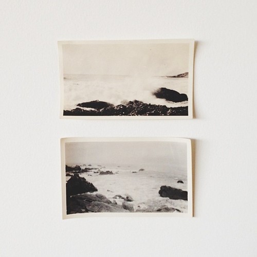 rotten-envy:  Not all those who wander are lost ☯ 
