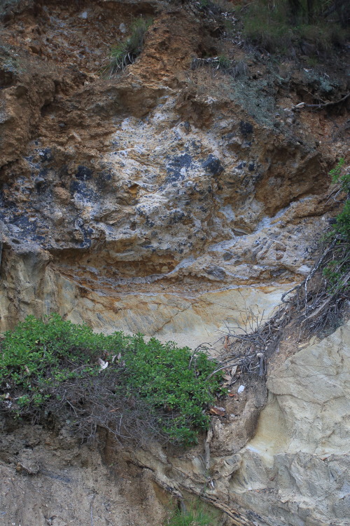 geologicaltravels: 2015: Dark Beach angular unconformity. Note brecciated slabs of the Ordivician Na