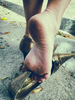 kickingoffmyheels:  See more mouth watering feet