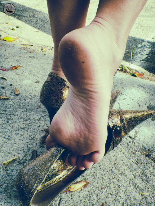 kickingoffmyheels:  See more mouth watering feet