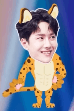 王一博編舞 Tumblr Posts Tumbral Com