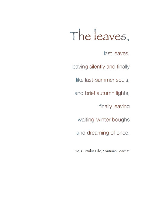 The leaves, last leaves …