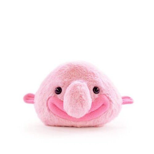 blobbynfriends: Via HT_Collectibles: Introducing: Blobfish - smiling edition!www.hashta