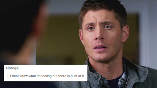 livebloggingmydescentintomadness:  Throwing my hat into the ring. Destiel + text posts.