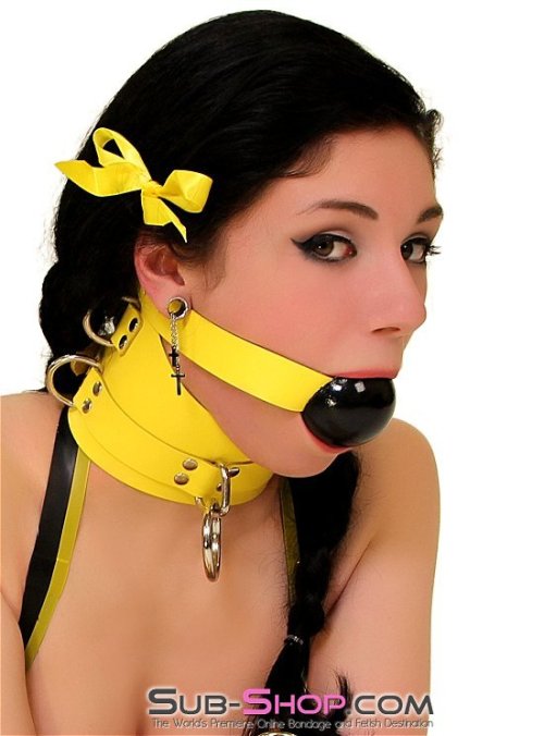 Pretty yellow bondage leather to brighten your day! :)http://www.sub-shop.com/search?type=product&am